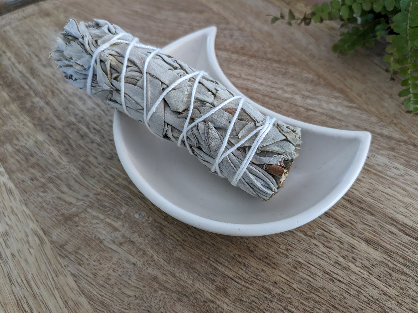 Bâton Sauge Blanche